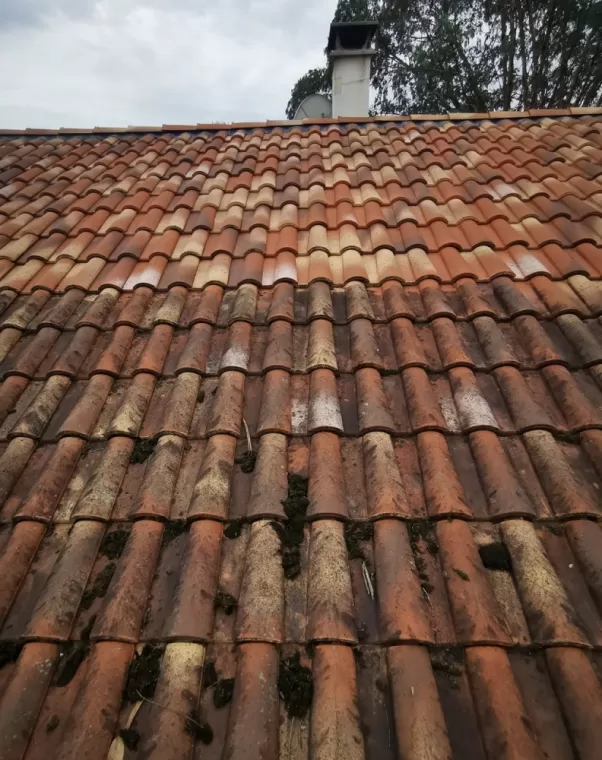 Nettoyage d'une toiture à la vapeur sur Seignosse, Saint-Martin-de-Seignanx, Green Vapeur