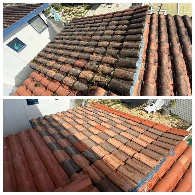 Entreprise démoussage toit Biarritz, Saint-Martin-de-Seignanx, Green Vapeur