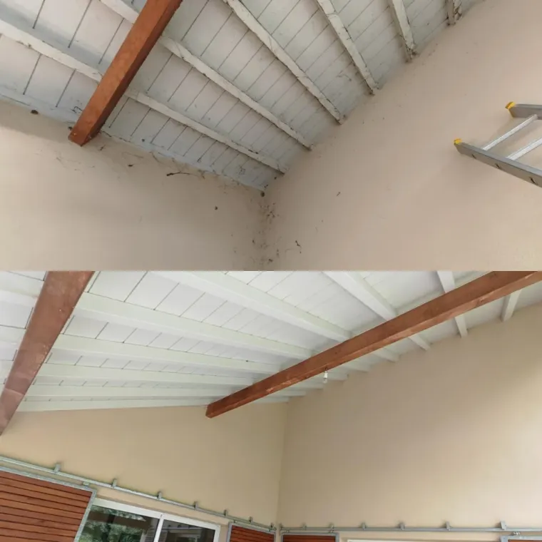 Techniques professionnelles de nettoyage de façade Anglet, Saint-Martin-de-Seignanx, Green Vapeur