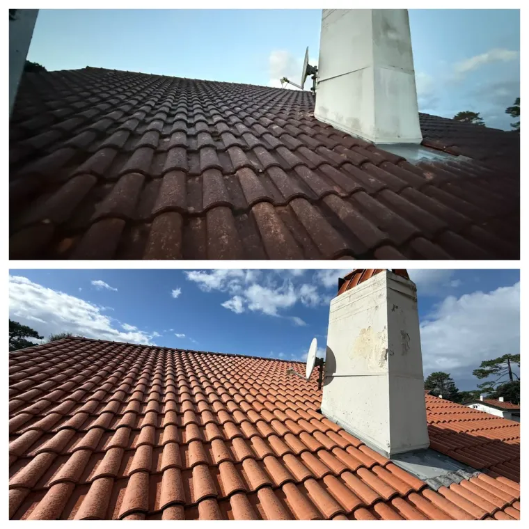 Entreprise locale de nettoyage toiture écologique à Seignosse, Saint-Martin-de-Seignanx, Green Vapeur