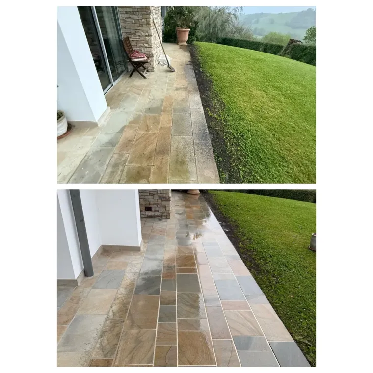 Traitement écologique contre la mousse et les salissures à Bayonne, Saint-Martin-de-Seignanx, Green Vapeur