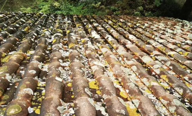Nettoyage écologique d'une toiture à Ondres, Saint-Martin-de-Seignanx, Green Vapeur