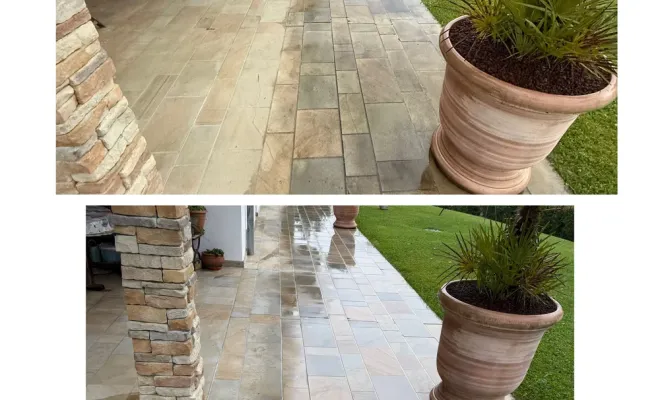 Traitement écologique contre la mousse et les salissures à Bayonne, Saint-Martin-de-Seignanx, Green Vapeur