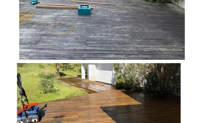 Solution de démoussage économique et écologique à Biarritz, Saint-Martin-de-Seignanx, Green Vapeur