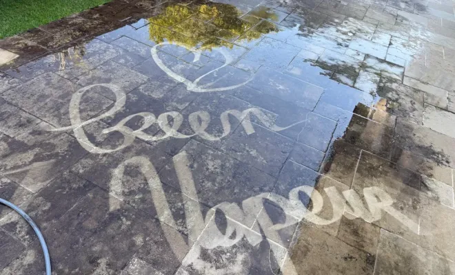 Solution de démoussage économique et écologique à Biarritz, Saint-Martin-de-Seignanx, Green Vapeur