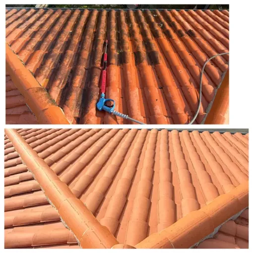 Nettoyage de toiture à Bayonne avec Green Vapeur, Saint-Martin-de-Seignanx, Green Vapeur