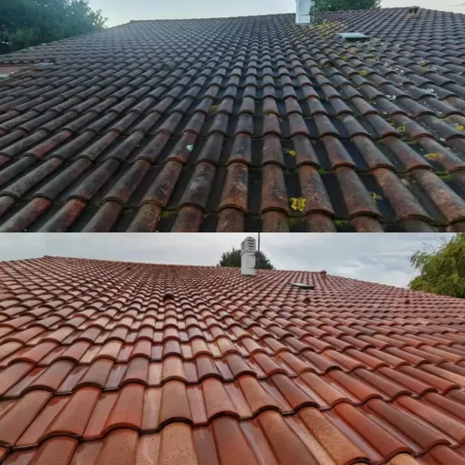 Démoussage toiture Anglet pas cher avec Green Vapeur, Saint-Martin-de-Seignanx, Green Vapeur