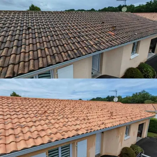 Artisan nettoyage toiture BAB avec Green Vapeur, Saint-Martin-de-Seignanx, Green Vapeur