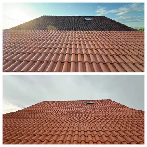 Artisan nettoyage toiture Biarritz avis, Saint-Martin-de-Seignanx, Green Vapeur