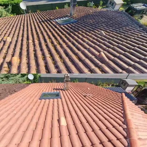 Contactez Green Vapeur – Expert en nettoyage vapeur écologique à Bayonne, Saint-Martin-de-Seignanx, Green Vapeur