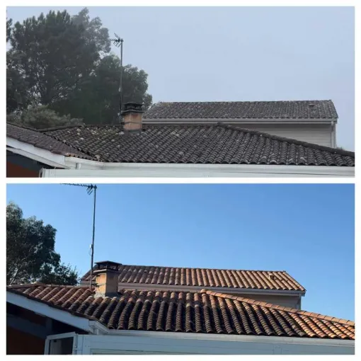 Démoussage toiture Biarritz avec Green Vapeur, Saint-Martin-de-Seignanx, Green Vapeur