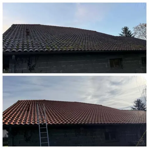 Entretien toiture tuiles Anglet avec Green Vapeur, Saint-Martin-de-Seignanx, Green Vapeur