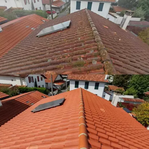 Meilleure entreprise nettoyage toiture Anglet - Green Vapeur, Saint-Martin-de-Seignanx, Green Vapeur