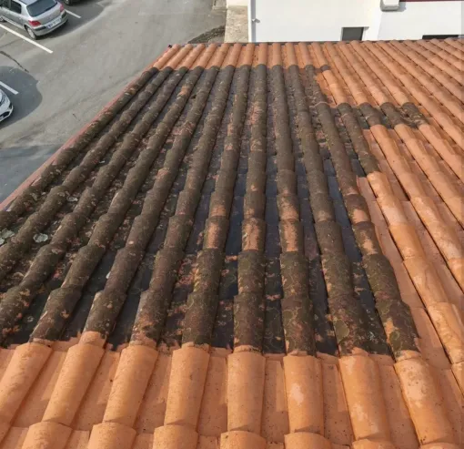 Nettoyage à la vapeur d'une toiture à Saint Palais, Saint-Martin-de-Seignanx, Green Vapeur