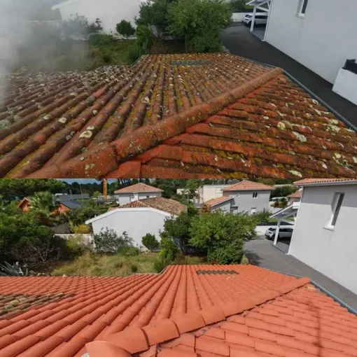 Nettoyage de toit à Biarritz avec Green Vapeur, Saint-Martin-de-Seignanx, Green Vapeur