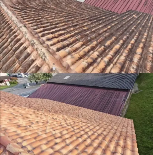 Nettoyage d'une énorme toiture à Saint Palais, Saint-Martin-de-Seignanx, Green Vapeur