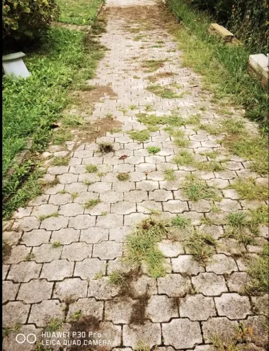 Nettoyage écologique d'une allée à Tarnos, Saint-Martin-de-Seignanx, Green Vapeur
