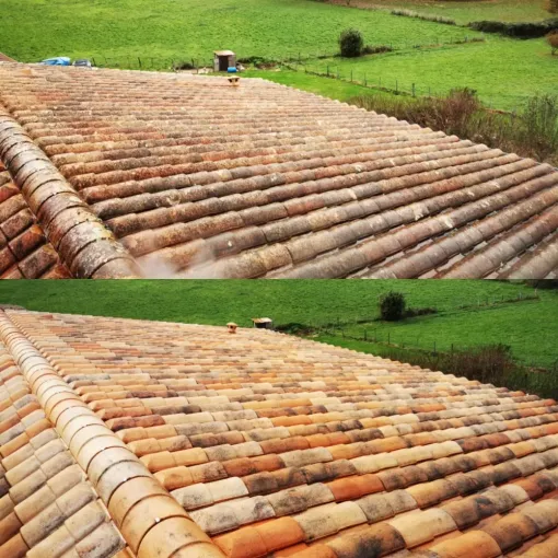 Nettoyage toiture écologique à Labenne, Saint-Martin-de-Seignanx, Green Vapeur