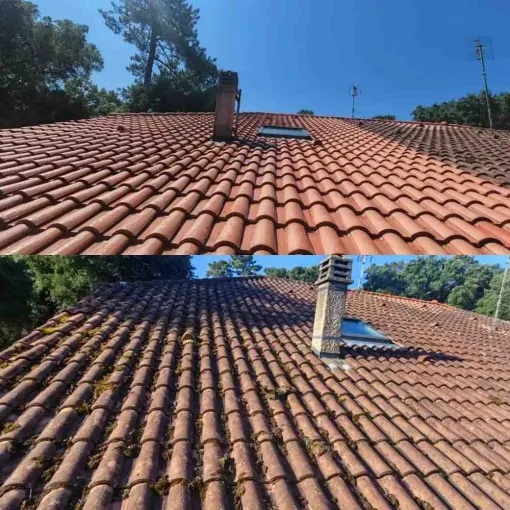 Pourquoi choisir le nettoyage écologique pour votre toiture à Bayonne ?, Saint-Martin-de-Seignanx, Green Vapeur