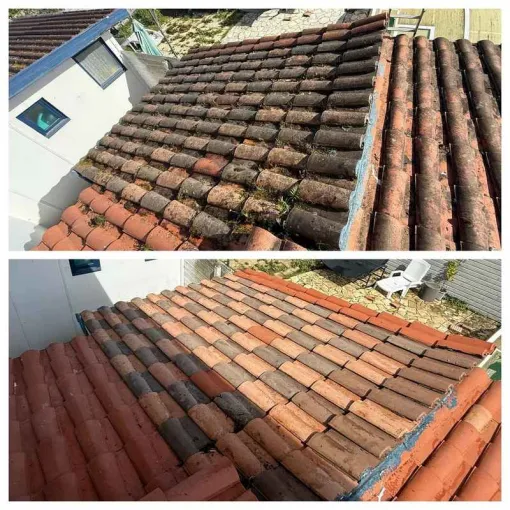 Service de démoussage vapeur écologique et économique à Capbreton, Saint-Martin-de-Seignanx, Green Vapeur