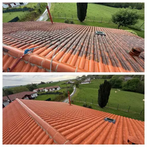 Traitement anti-mousse toiture Biarritz, Saint-Martin-de-Seignanx, Green Vapeur