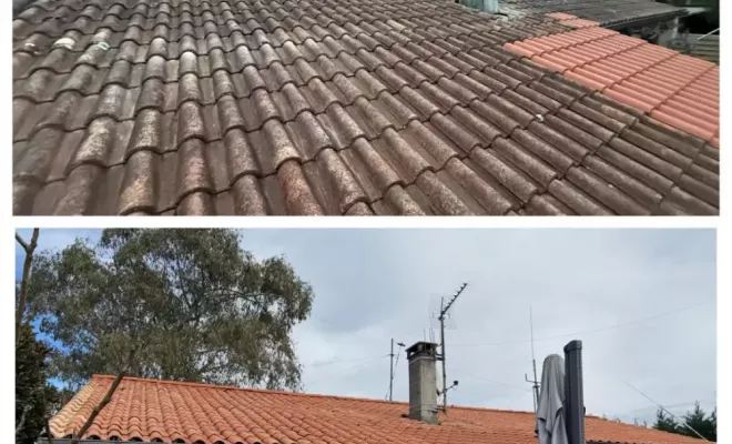 Nettoyage de toiture à Bayonne avec Green Vapeur, Saint-Martin-de-Seignanx, Green Vapeur