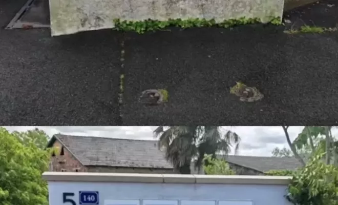 Nettoyage à la vapeur d'une façade à Saint Palais, Saint-Martin-de-Seignanx, Green Vapeur