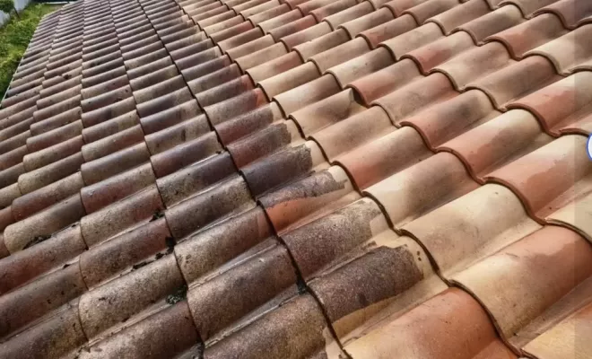 Nettoyage à la vapeur d'une toiture à Hossegore, Saint-Martin-de-Seignanx, Green Vapeur