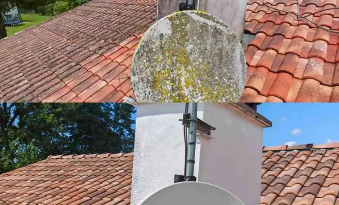 Nettoyage de toiture pas cher à Biarritz avec Green Vapeur, Saint-Martin-de-Seignanx, Green Vapeur