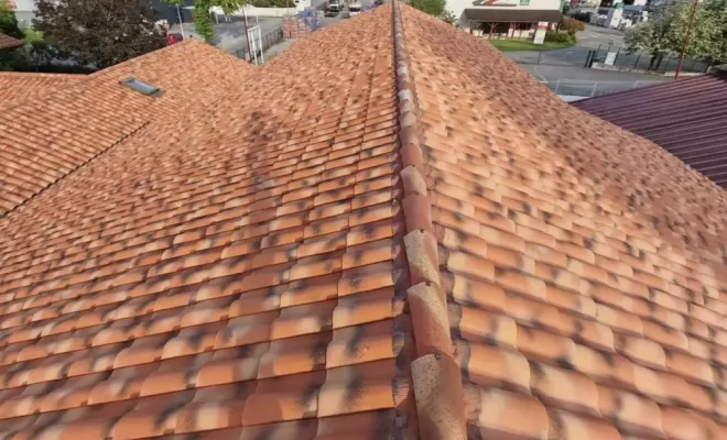 Nettoyage d'une énorme toiture à Saint Palais, Saint-Martin-de-Seignanx, Green Vapeur