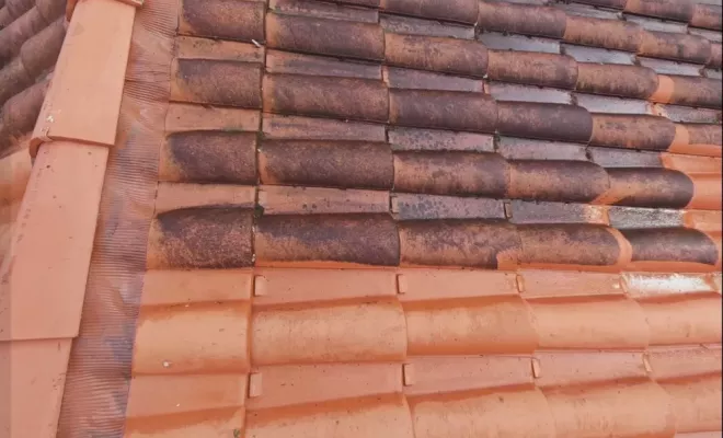 Nettoyage écologique d'une toiture à Tarnos à Saint Palais, Saint-Martin-de-Seignanx, Green Vapeur