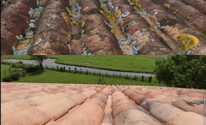 Nettoyage écologique toiture et clôture à Saint Palais, Saint-Martin-de-Seignanx, Green Vapeur