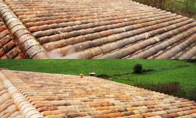 Toiture, Saint-Martin-de-Seignanx, Green Vapeur