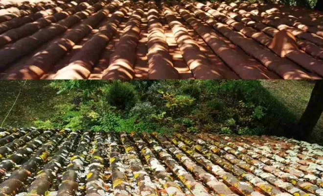 Toiture, Saint-Martin-de-Seignanx, Green Vapeur