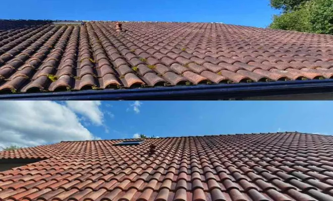 Nettoyage de toiture, Saint-Martin-de-Seignanx, Green Vapeur