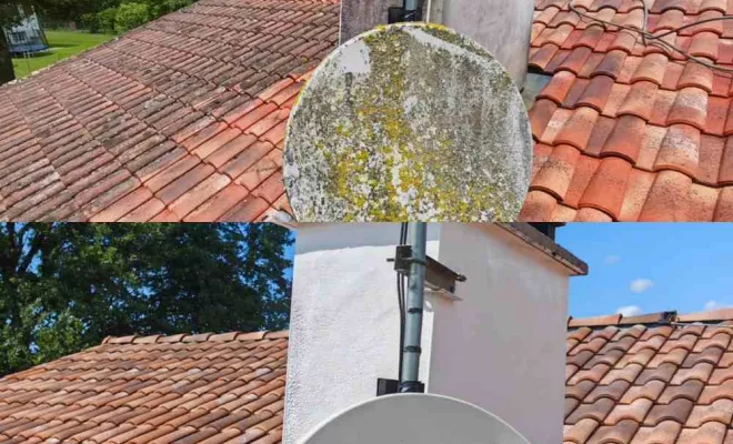 Nettoyage de toiture, Saint-Martin-de-Seignanx, Green Vapeur