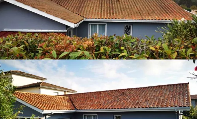 Toiture, Saint-Martin-de-Seignanx, Green Vapeur